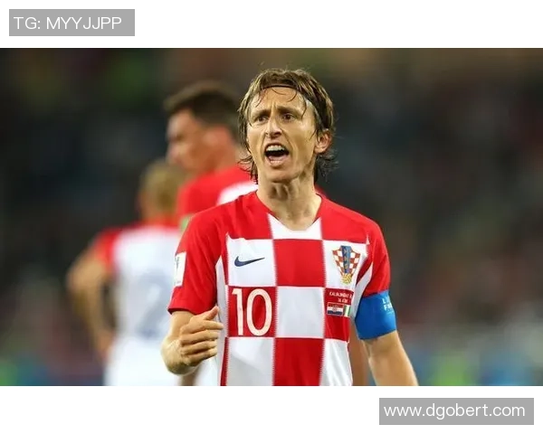 足球明星背后的奇葩家人揭秘视频让你大开眼界不容错过的趣味瞬间