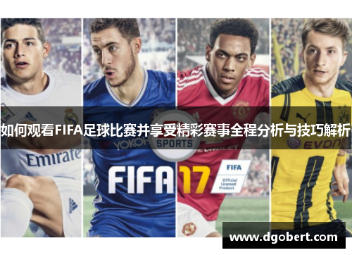 如何观看FIFA足球比赛并享受精彩赛事全程分析与技巧解析